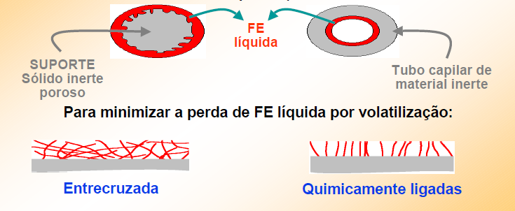 LÍQUIDOS