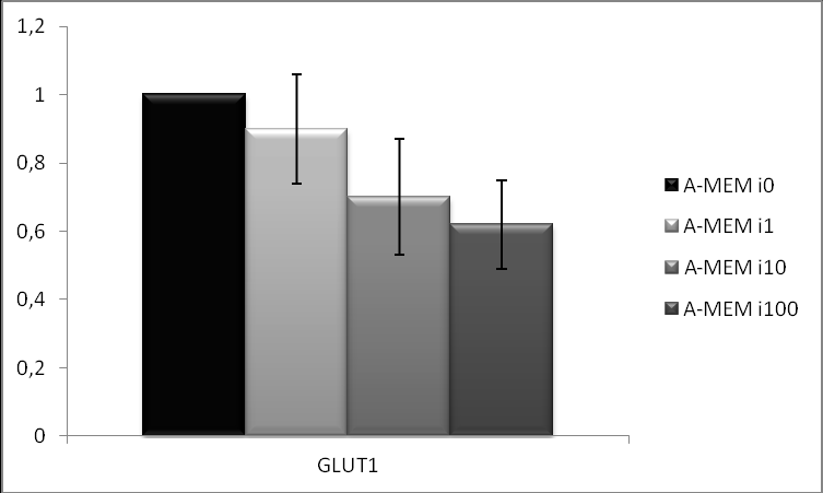 Figura 6: Abundância relativa de transcritos relacionados a maturação (GDF9) e captação de glicose (GLUT1) em oócitos bovinos maturados em meio Alpha-MEMB.