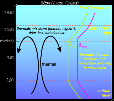Vertical structure of the boundary layer From bottom up: Interfacial layer (0-1 cm): molecular transport, no turbulence Surface layer (0-100 m):