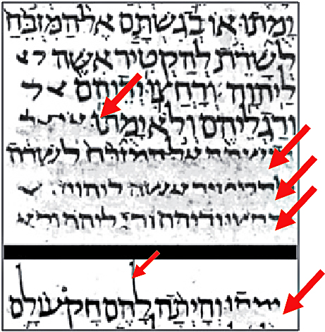 [118] letras: 9 Também pode ser observado no Códice Leningradensis o apagamento parcial das Ilustração 5: Códice L - textos corrigidos Segundo Hadary, 10 o Sefer Torá é um rolo de pergaminho