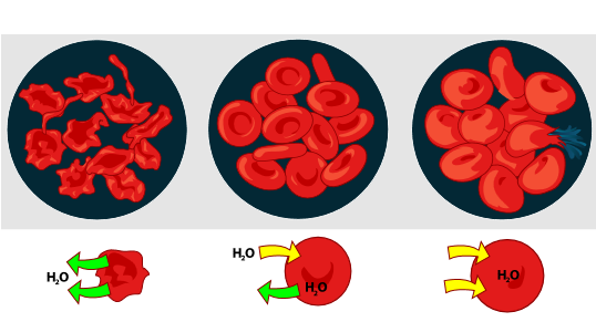 Solvente universal: Sistemas orgânicos e Inorgânicos 4 Fenômenos Importantes: