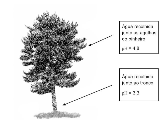 terrestre são problemas graves, interligados e resultantes, principalmente, da atividade humana. 2.1.