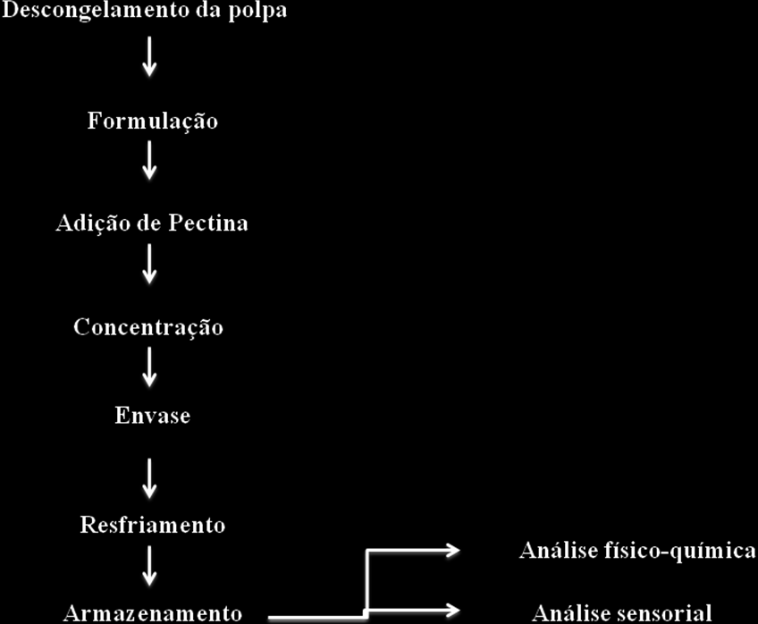 Maria José Silveira da Silva et al. em pedaços da polpa ou do suco de frutas, adicionados de açúcar e água e concentrado até a consistência gelatinosa.