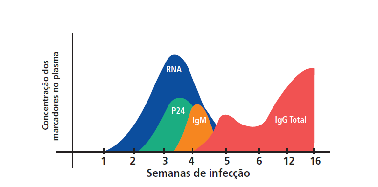 Diagnóstico da infecção pelo HIV Normatizado pela