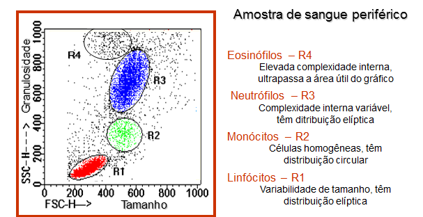 Por que ajustar os PMTS?