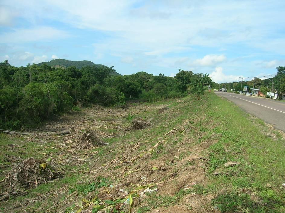 Lagunar Holocênico Marinho Pleistocênico Figura3 Exemplo de contato do depósito marinho pleistocênico com lagunar holocênico, com a ocorrência de terraço de aproximadamente 5m de altura.