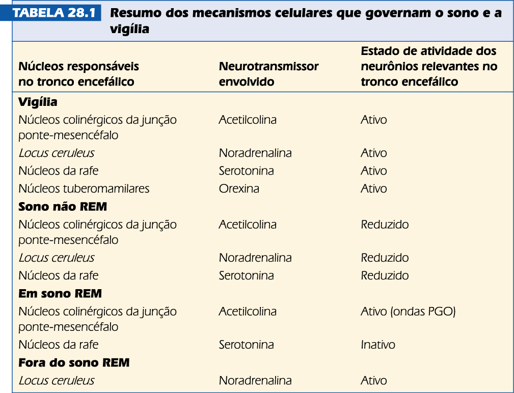 FIM DO