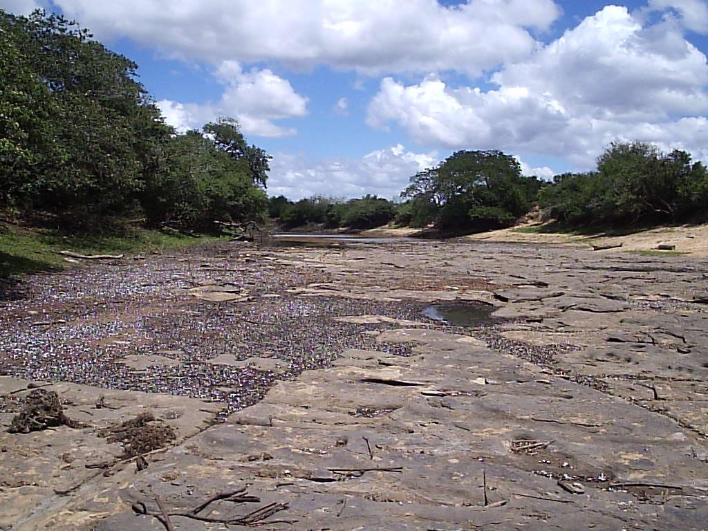 Rio Gravataí- Captação