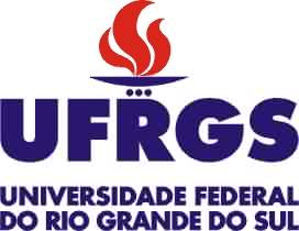 UNIVERSIDADE FEDERAL DO RIO GRANDE DO SUL INSTITUTO