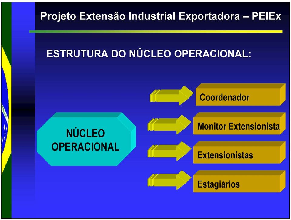 Coordenador NÚCLEO OPERACIONAL Monitor