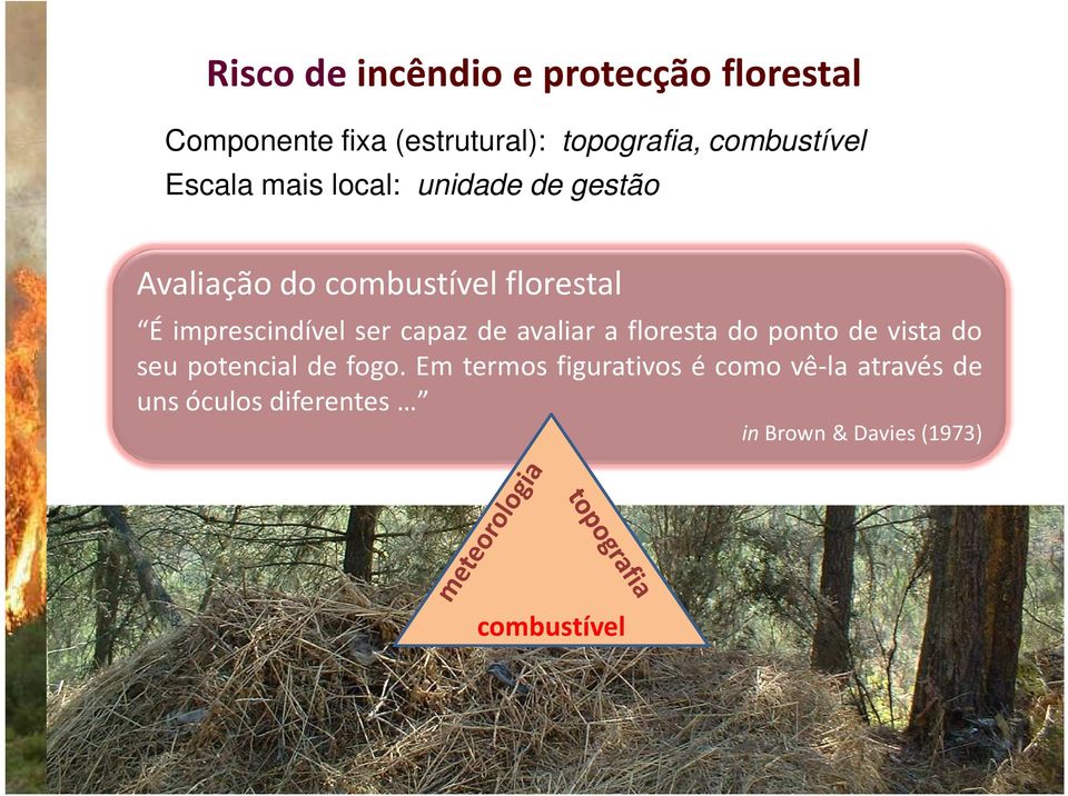 imprescindível ser capaz de avaliar a floresta do ponto de vista do seu potencial de fogo.