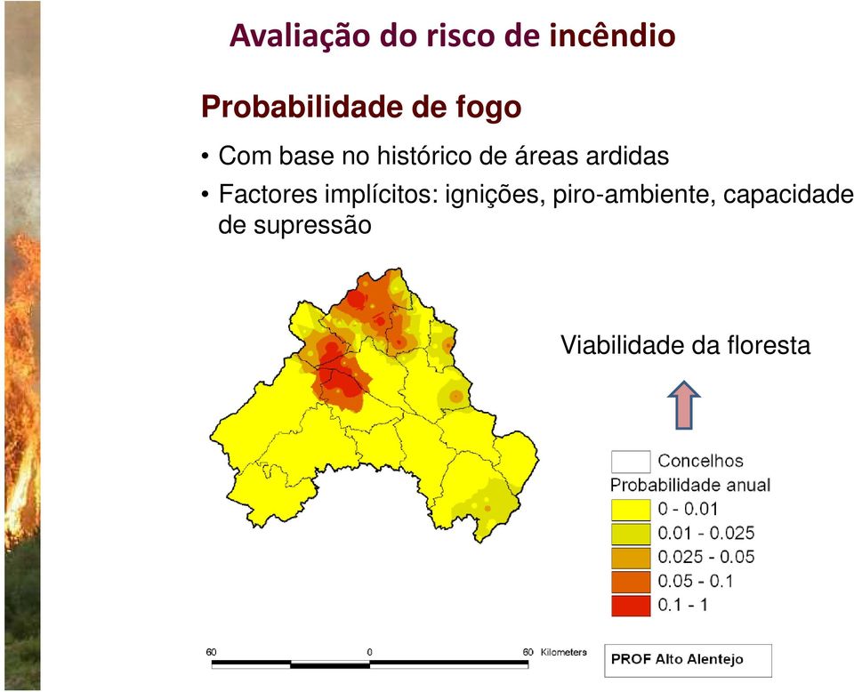 Factores implícitos: ignições, piro-ambiente,