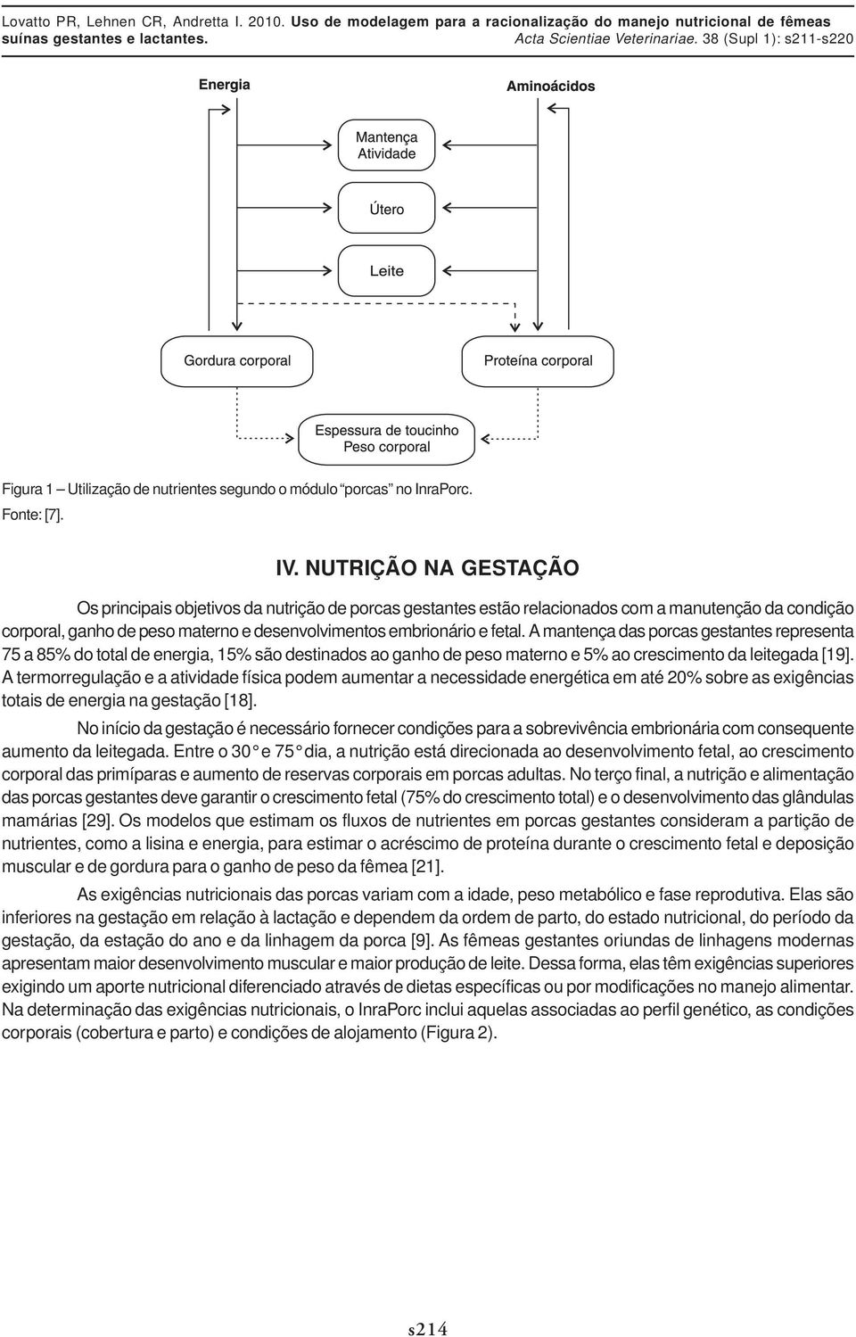 A mantença das porcas gestantes representa 75 a 85% do total de energia, 15% são destinados ao ganho de peso materno e 5% ao crescimento da leitegada [19].