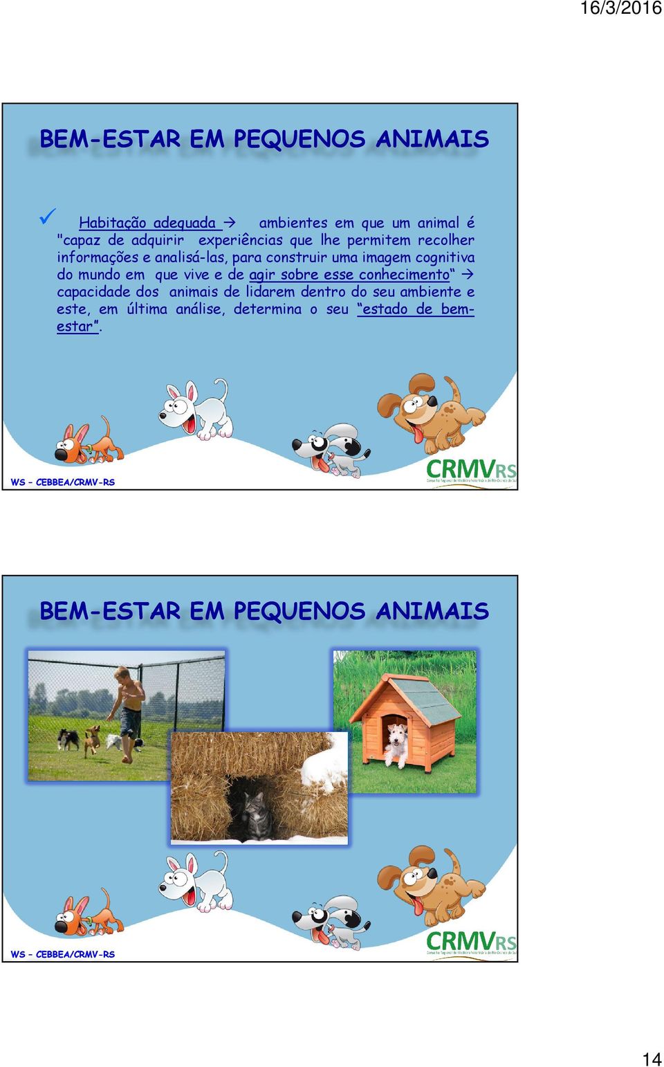 esse conhecimento conhecimento capacidade dos animais de lidarem dentro do seu ambiente e este, em última análise, determina o