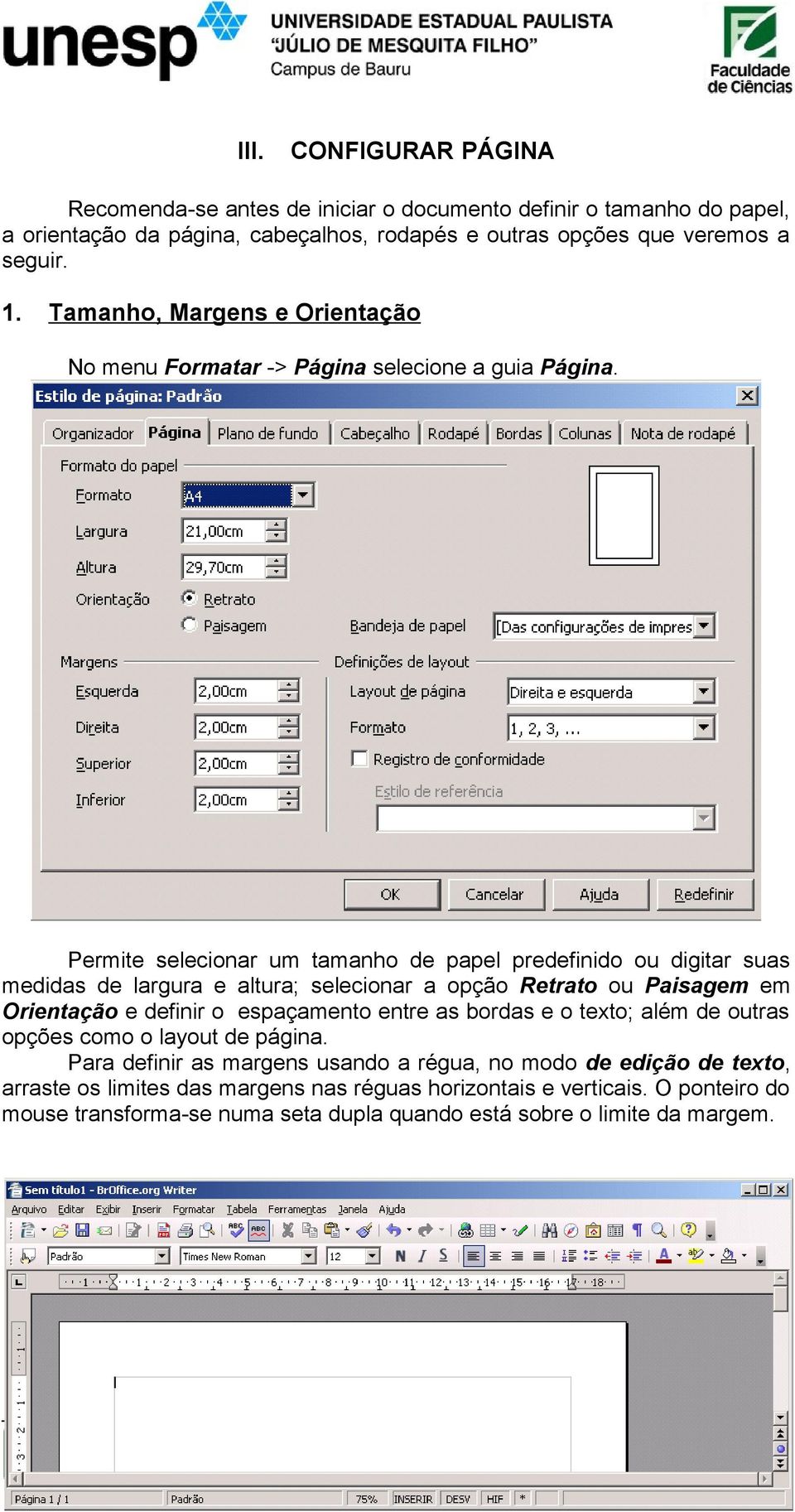 Permite selecionar um tamanho de papel predefinido ou digitar suas medidas de largura e altura; selecionar a opção Retrato ou Paisagem em Orientação e definir o espaçamento entre as