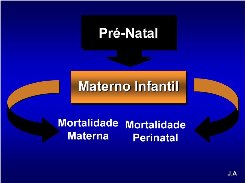 Mortalidade