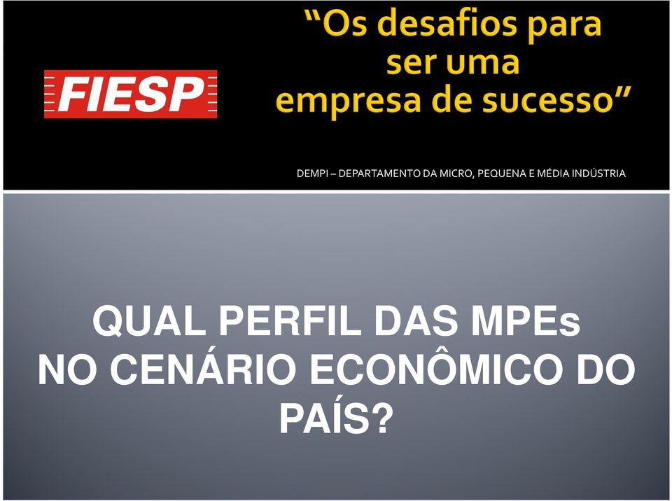 PERFIL DAS MPEs NO