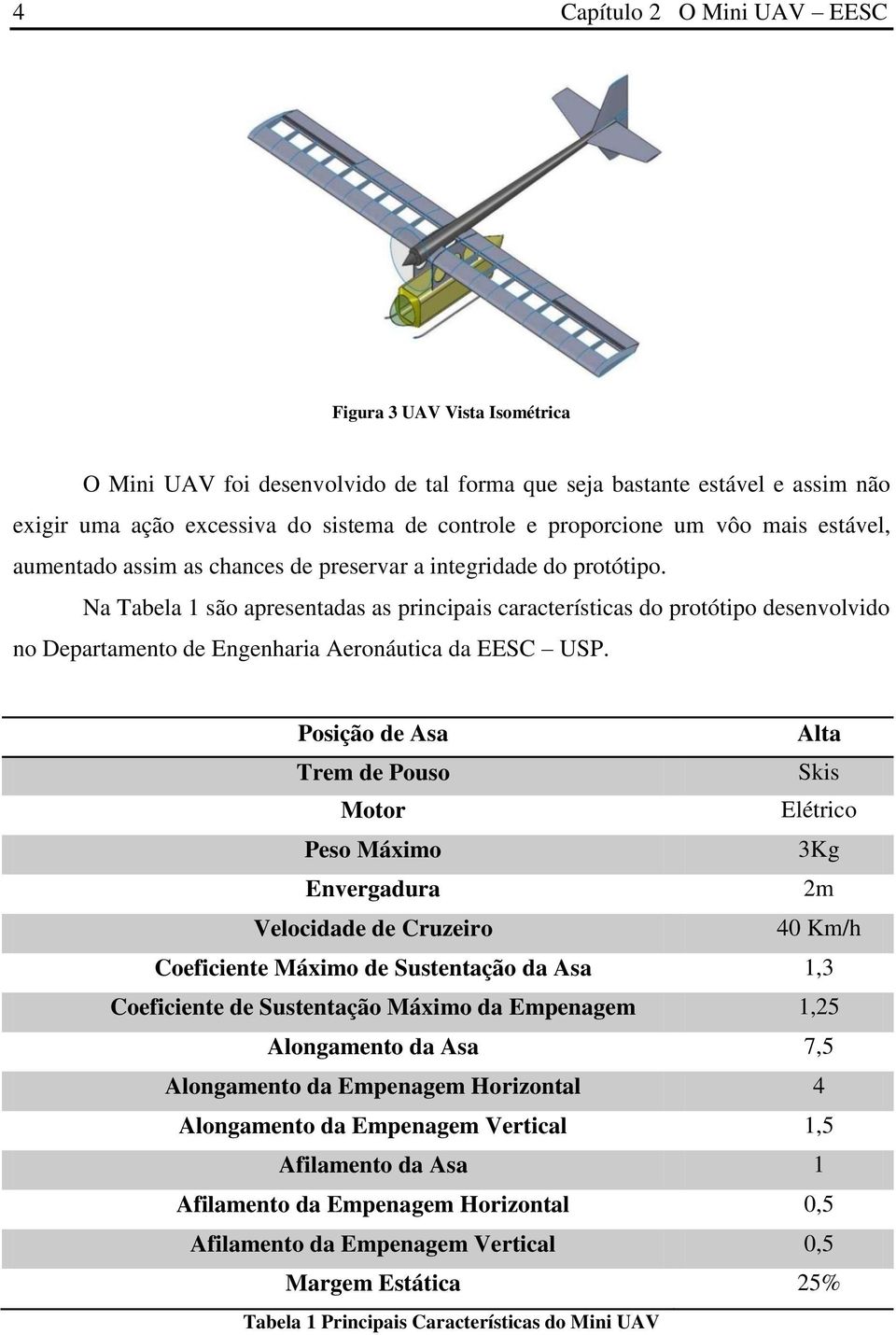 Na Tabela 1 são apresentadas as principais características do protótipo desenvolvido no Departamento de Engenharia Aeronáutica da EESC USP.