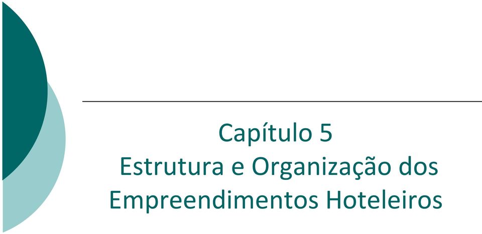 Organização dos