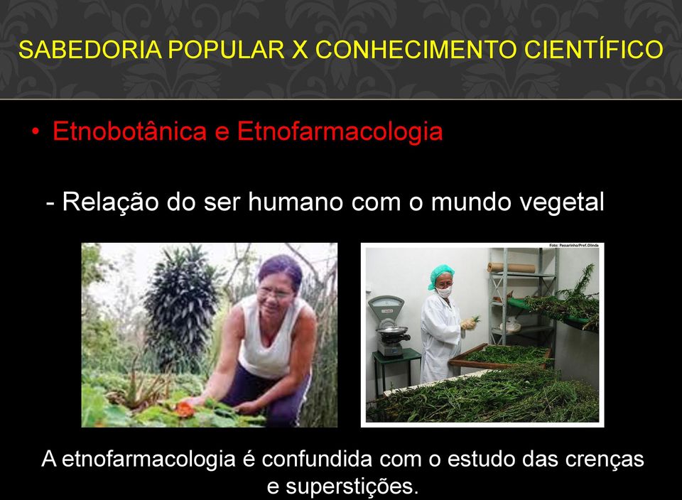 ser humano com o mundo vegetal A