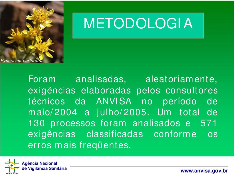 período de maio/2004 a julho/2005.