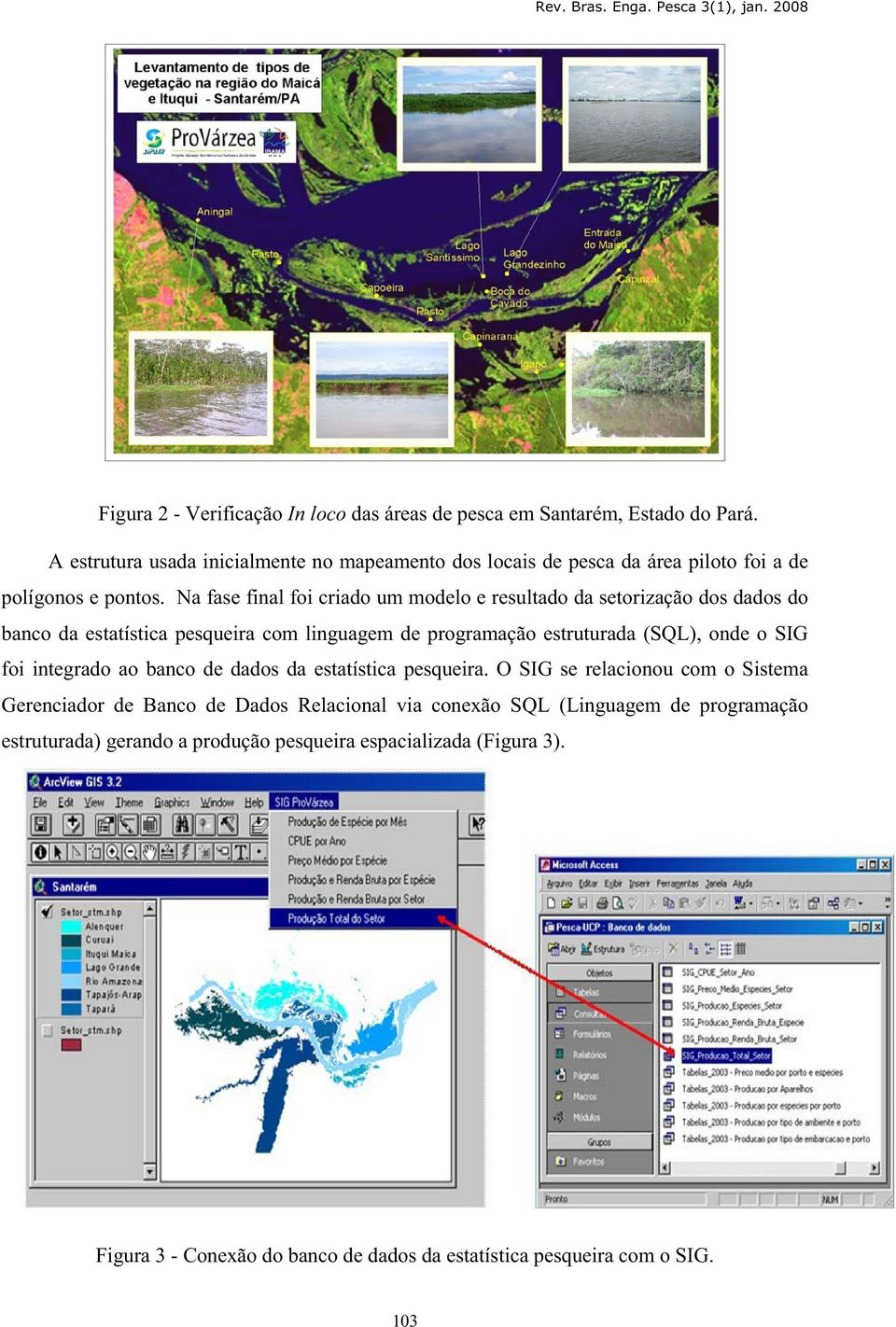 Na fase final foi criado um modelo e resultado da setorização dos dados do banco da estatística pesqueira com linguagem de programação estruturada (SQL), onde o SIG