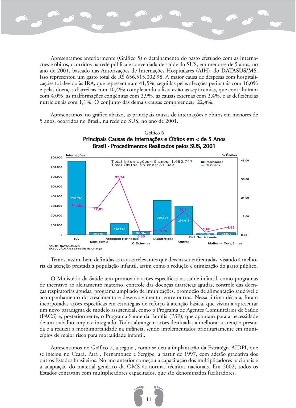 A maior causa de despesas com hospitalizações foi devido às IRA, que representaram 41,5%, seguidas pelas afecções perinatais com 16,0% e pelas doenças diarréicas com 10,4%; completando a lista estão