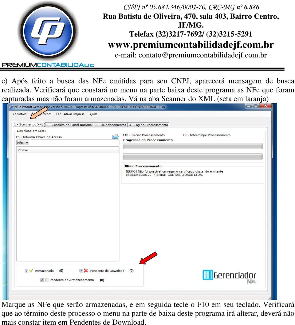 Vá na aba Scanner do XML (seta em laranja) Marque as NFe que serão armazenadas, e em seguida tecle o F10 em seu teclado.