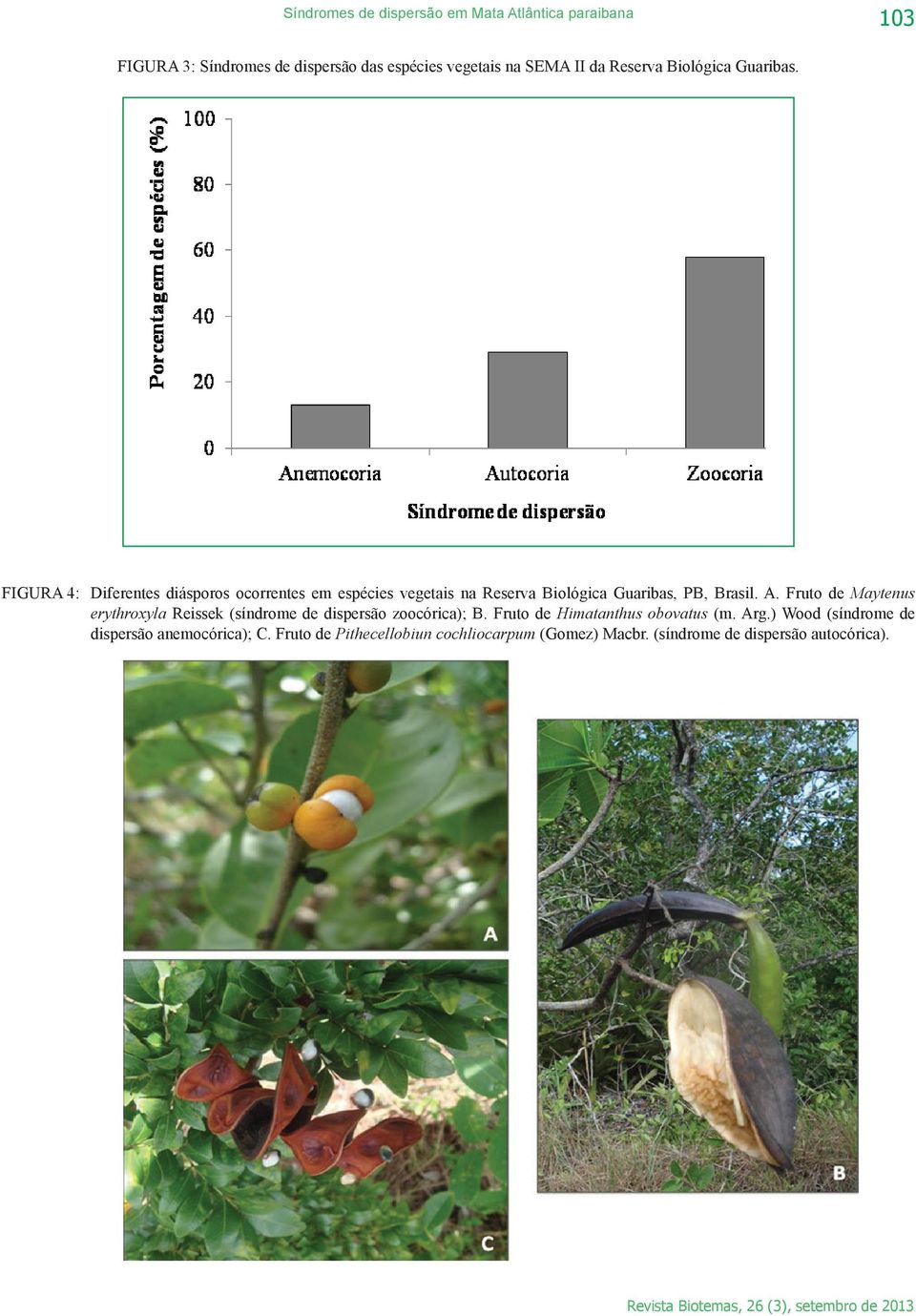 FIGURA 4: Diferentes diásporos ocorrentes em espécies vegetais na Reserva Biológica Guaribas, PB, Brasil. A.