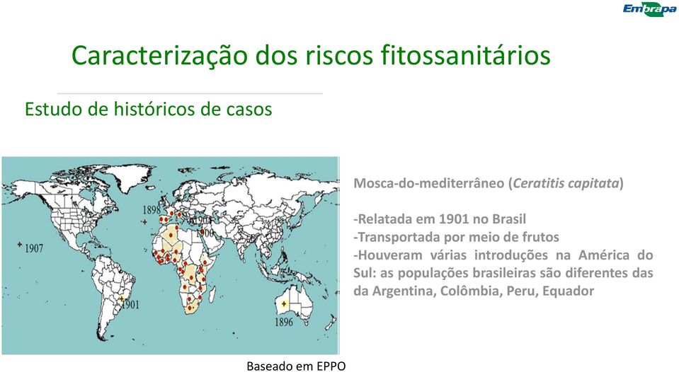 por meio de frutos Houveram várias introduções na América do Sul: as populações