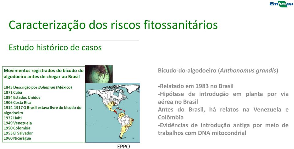 introdução em planta por via aérea no Brasil Antes do Brasil, há relatos na