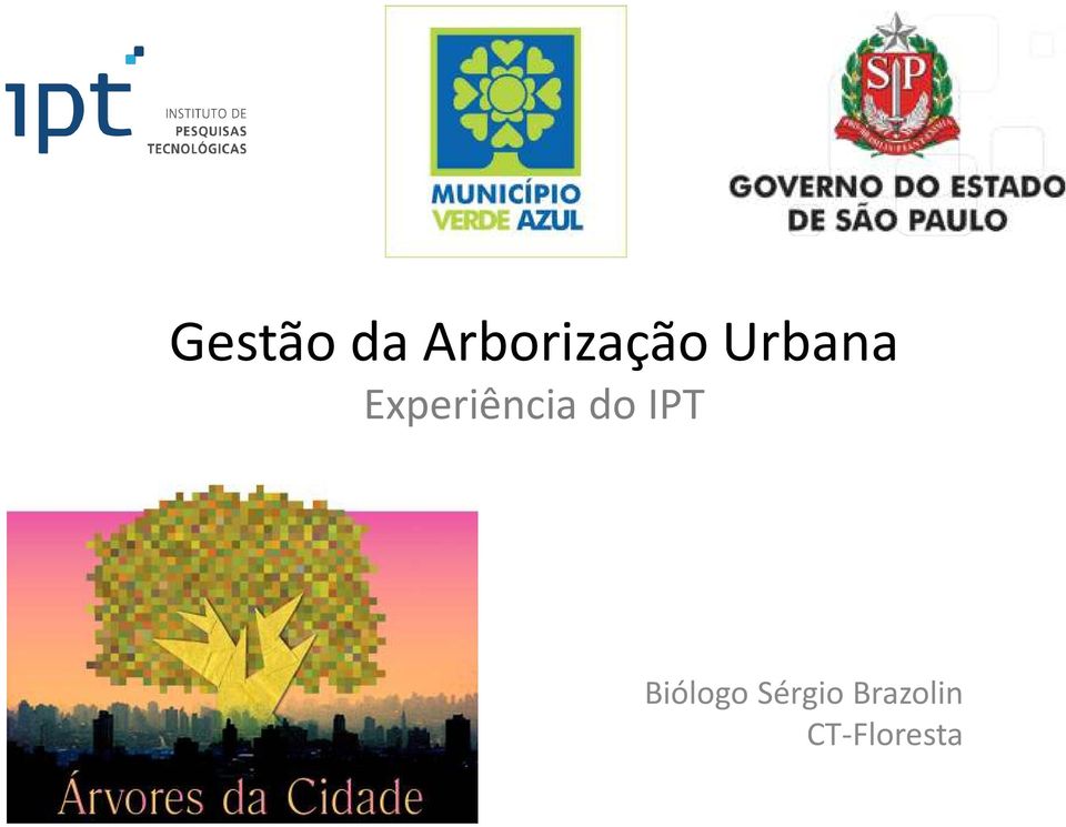 Experiência do IPT