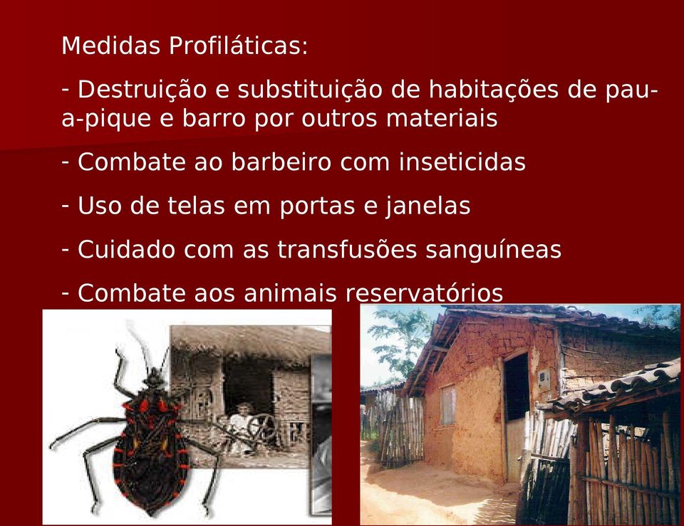 barbeiro com inseticidas - Uso de telas em portas e janelas -