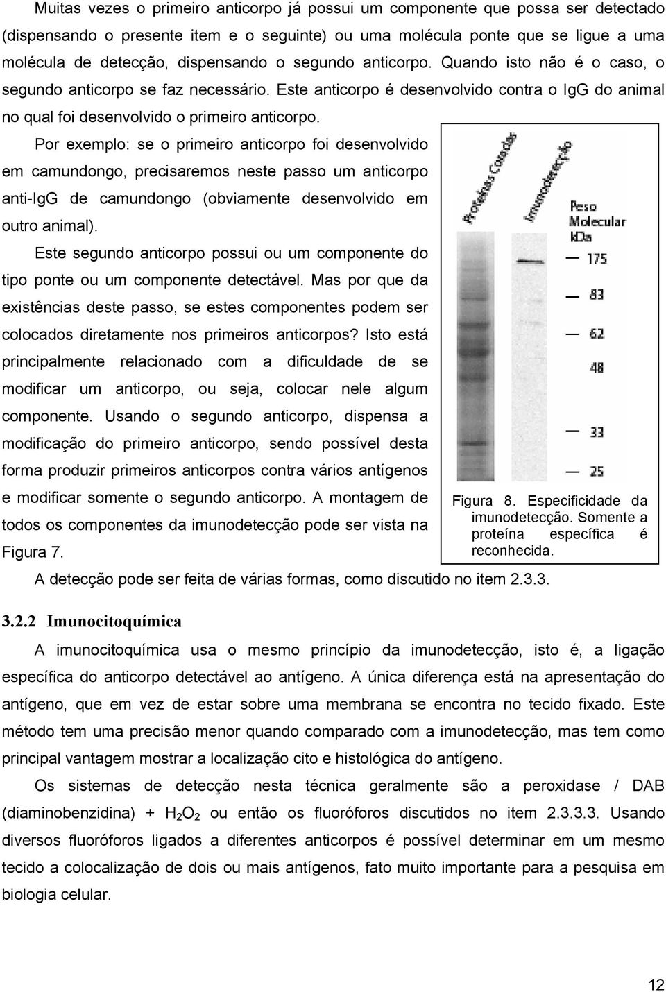 Por exemplo: se o primeiro anticorpo foi desenvolvido em camundongo, precisaremos neste passo um anticorpo anti-igg de camundongo (obviamente desenvolvido em outro animal).