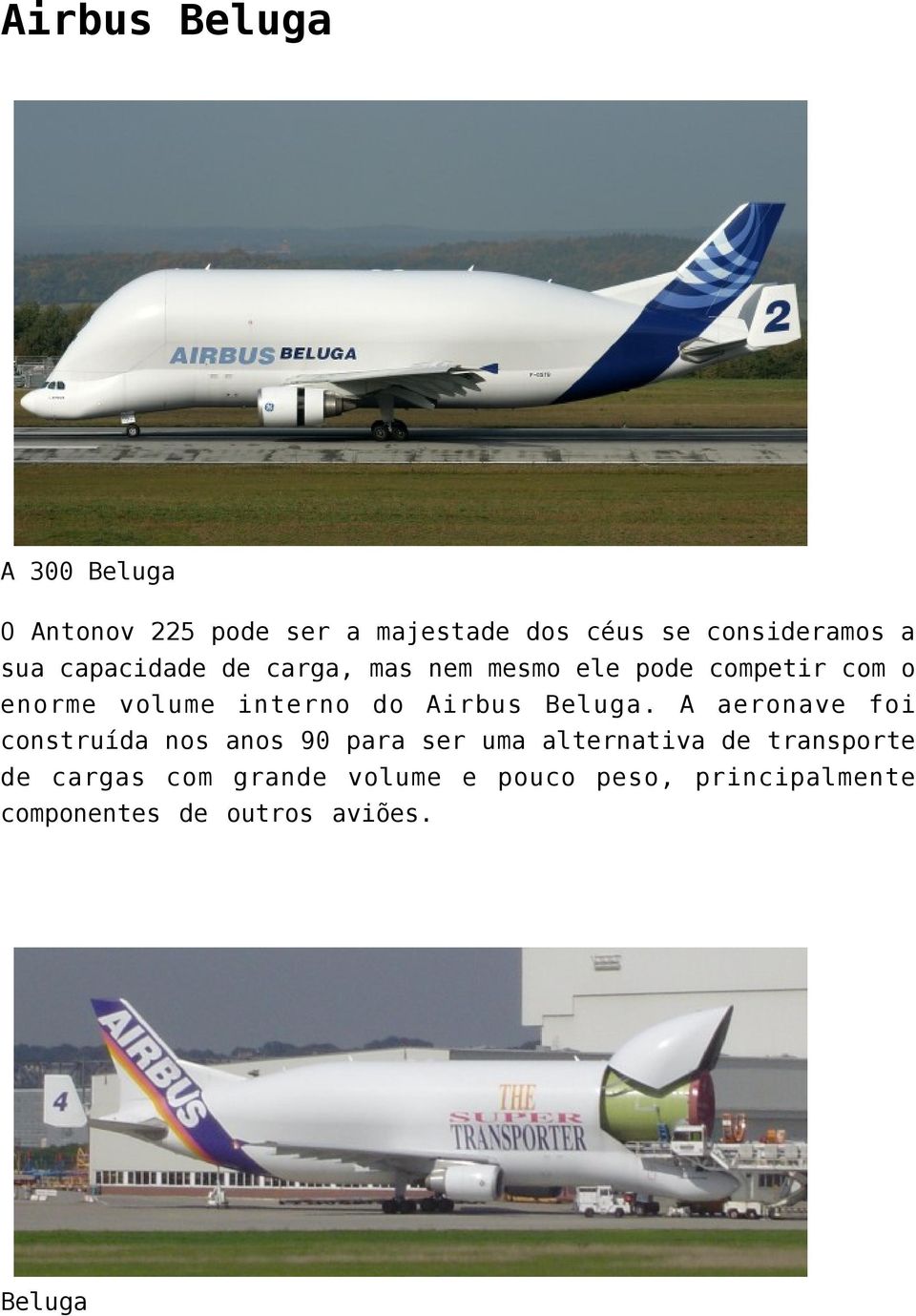 Airbus Beluga.