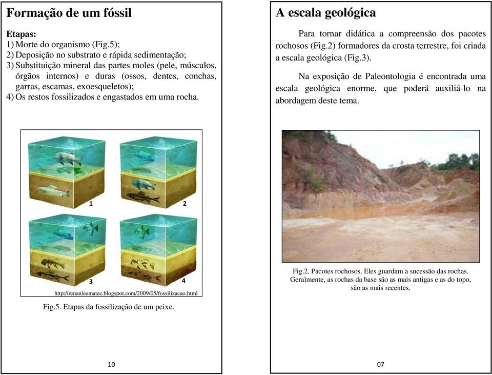 restos fossilizados e engastados em uma rocha. A escala geológica Para tornar didática a compreensão dos pacotes rochosos (Fig.2) formadores da crosta terrestre, foi criada a escala geológica (Fig.3).