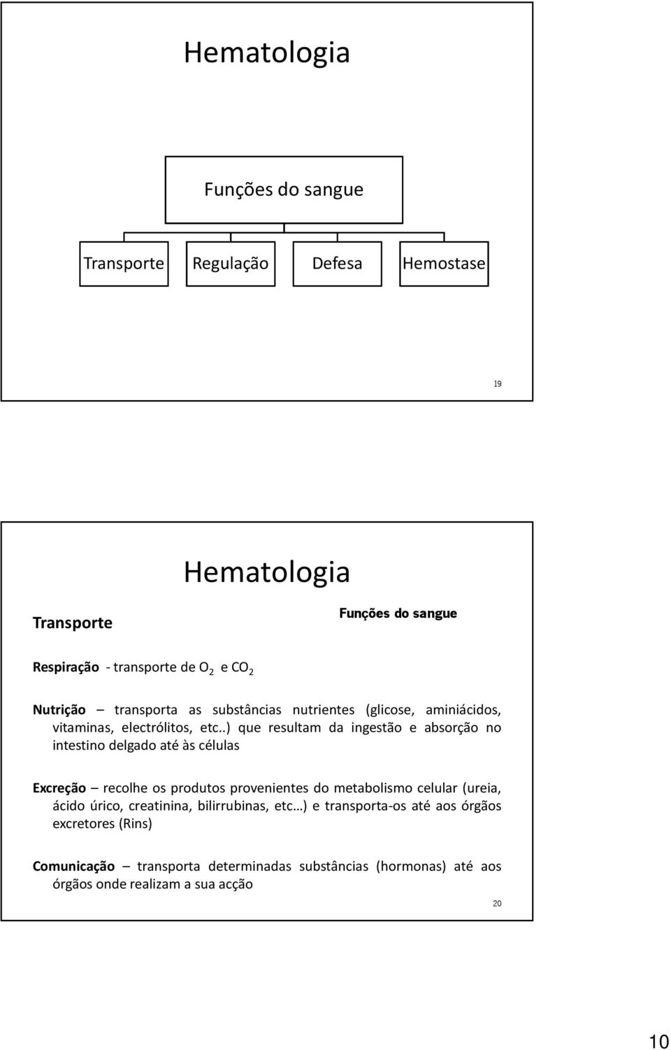 .) que resultam da ingestão e absorção no intestino delgado até às células Excreção recolhe os produtos provenientes do metabolismo celular