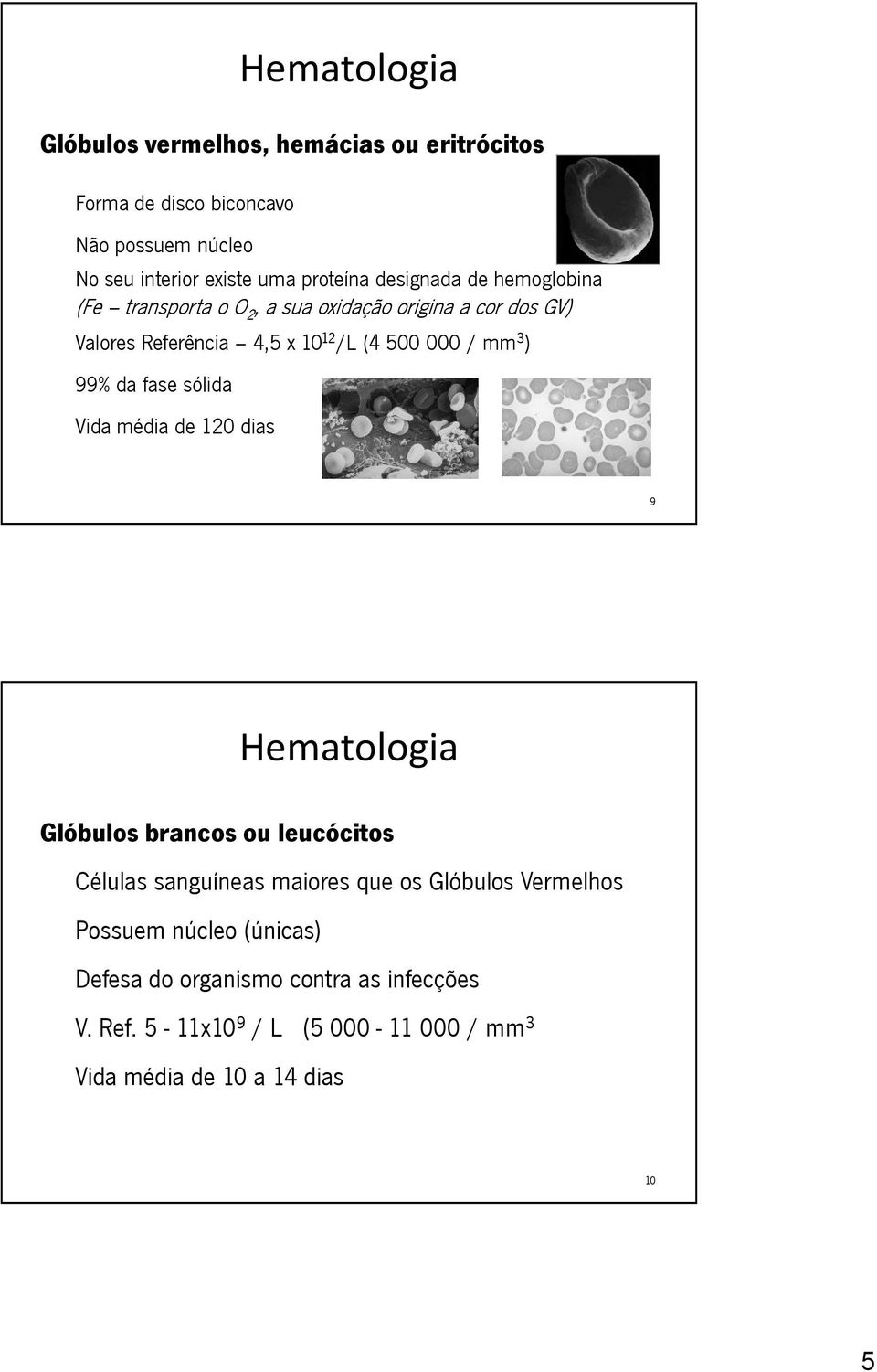 mm 3 ) 99% da fase sólida Vida média de 120 dias 9 Glóbulos brancos ou leucócitos Células sanguíneas maiores que os Glóbulos