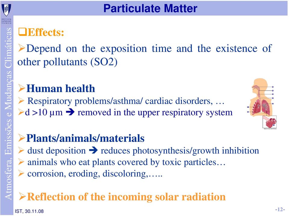 the upper respiratory system Plants/animals/materials dust deposition reduces photosynthesis/growth inhibition