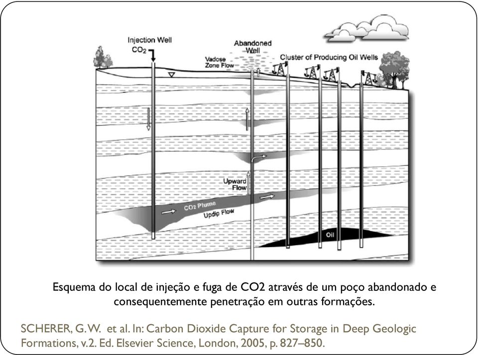 SCHERER, G. W. et al.