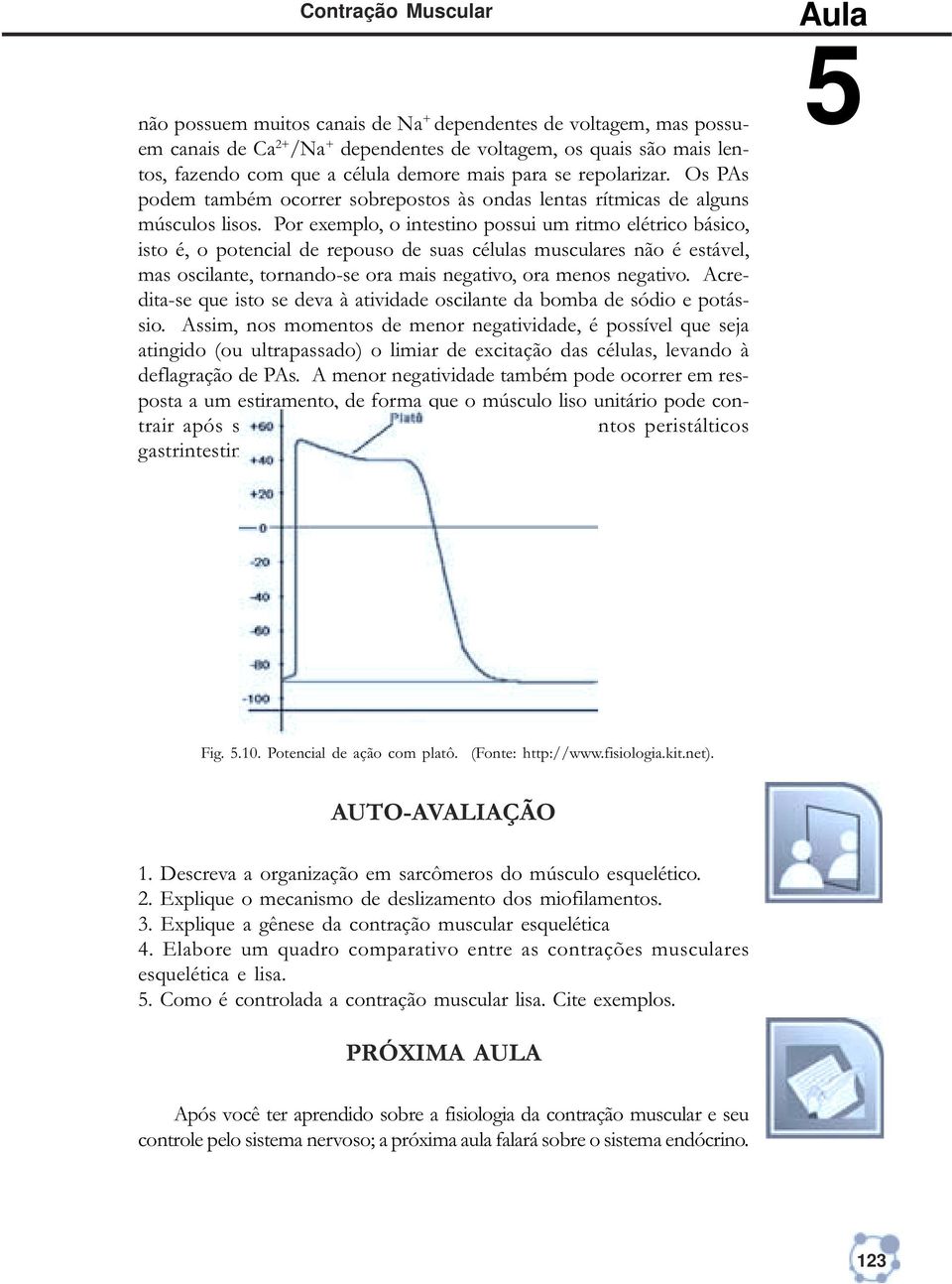 Por exemplo, o intestino possui um ritmo elétrico básico, isto é, o potencial de repouso de suas células musculares não é estável, mas oscilante, tornando-se ora mais negativo, ora menos negativo.