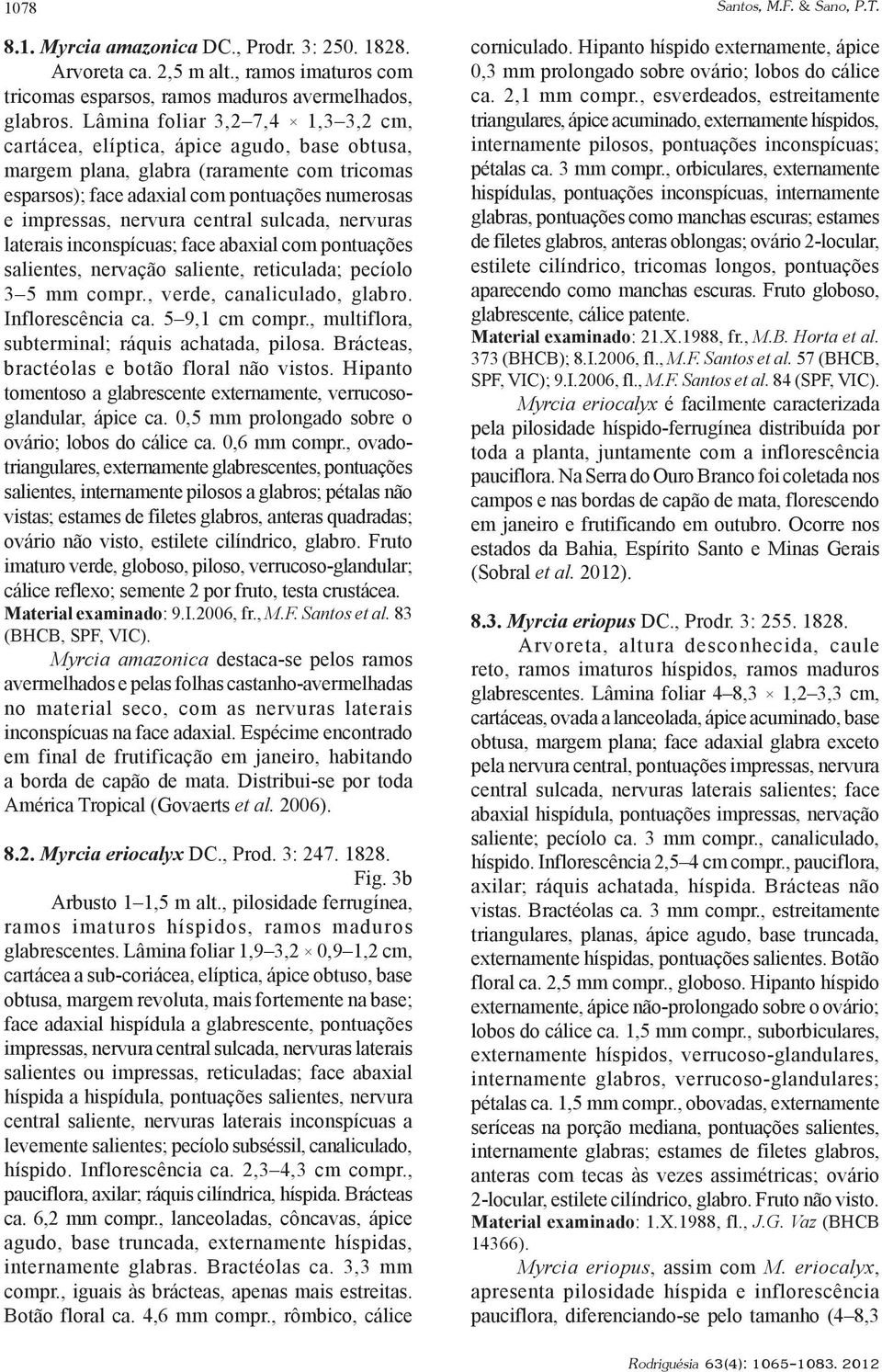 central sulcada, nervuras laterais inconspícuas; face abaxial com pontuações salientes, nervação saliente, reticulada; pecíolo 3 5 mm compr., verde, canaliculado, glabro. Inflorescência ca.