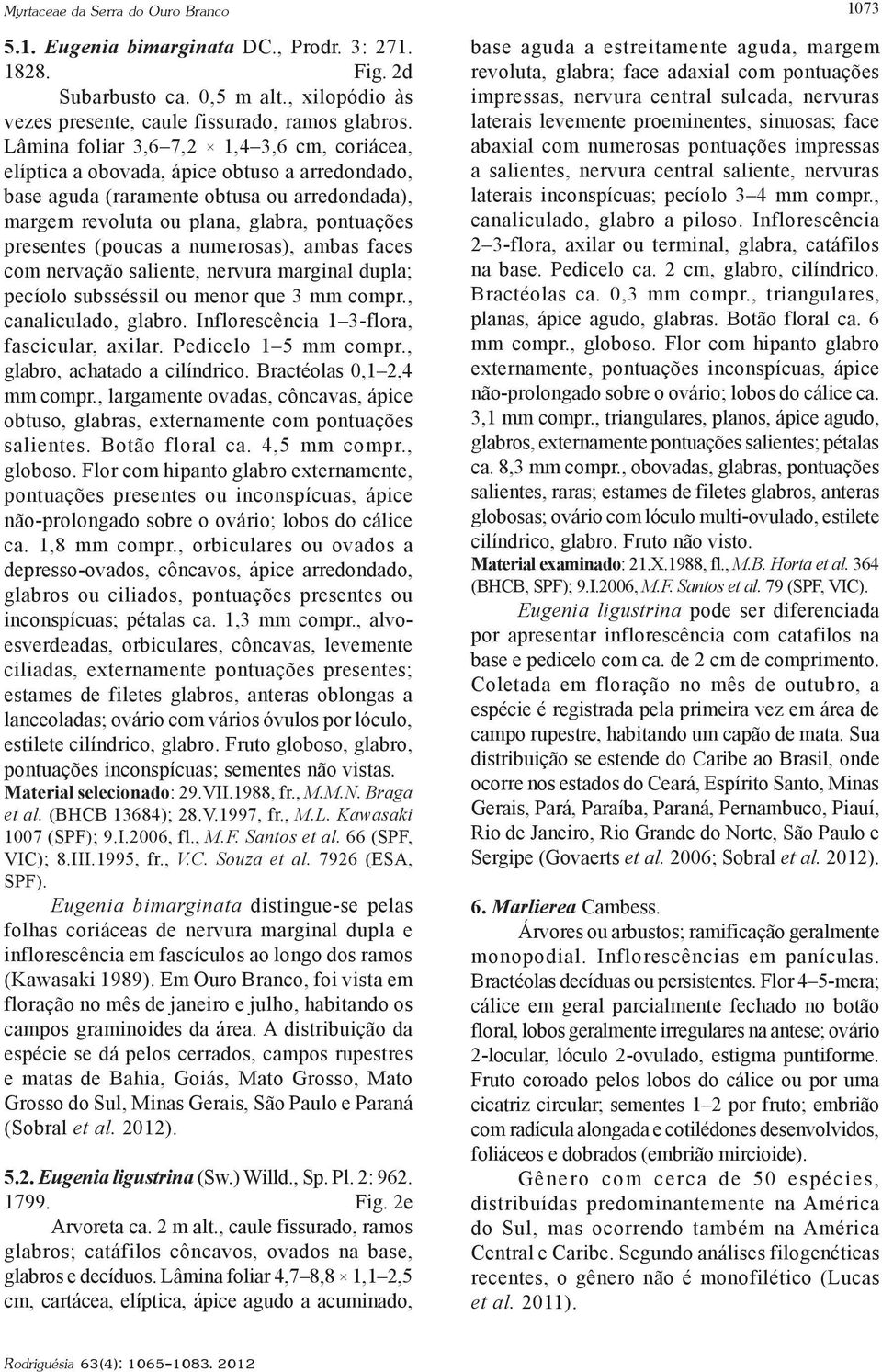 (poucas a numerosas), ambas faces com nervação saliente, nervura marginal dupla; pecíolo subsséssil ou menor que 3 mm compr., canaliculado, glabro. Inflorescência 1 3-flora, fascicular, axilar.