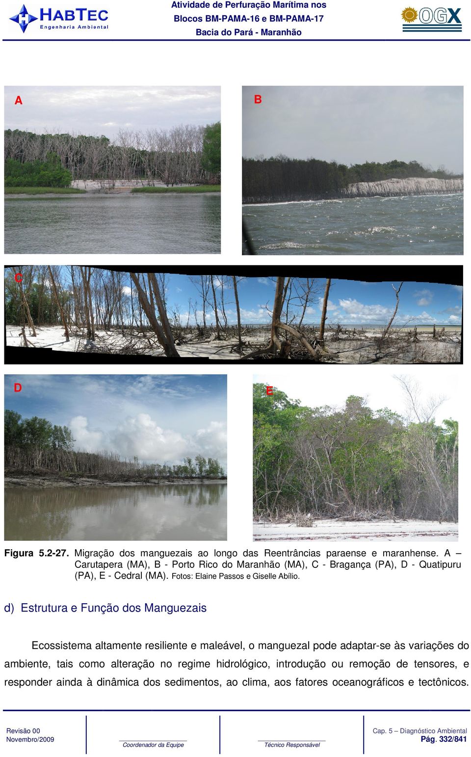 d) Estrutura e Função dos Manguezais Ecossistema altamente resiliente e maleável, o manguezal pode adaptar-se às variações do ambiente, tais como