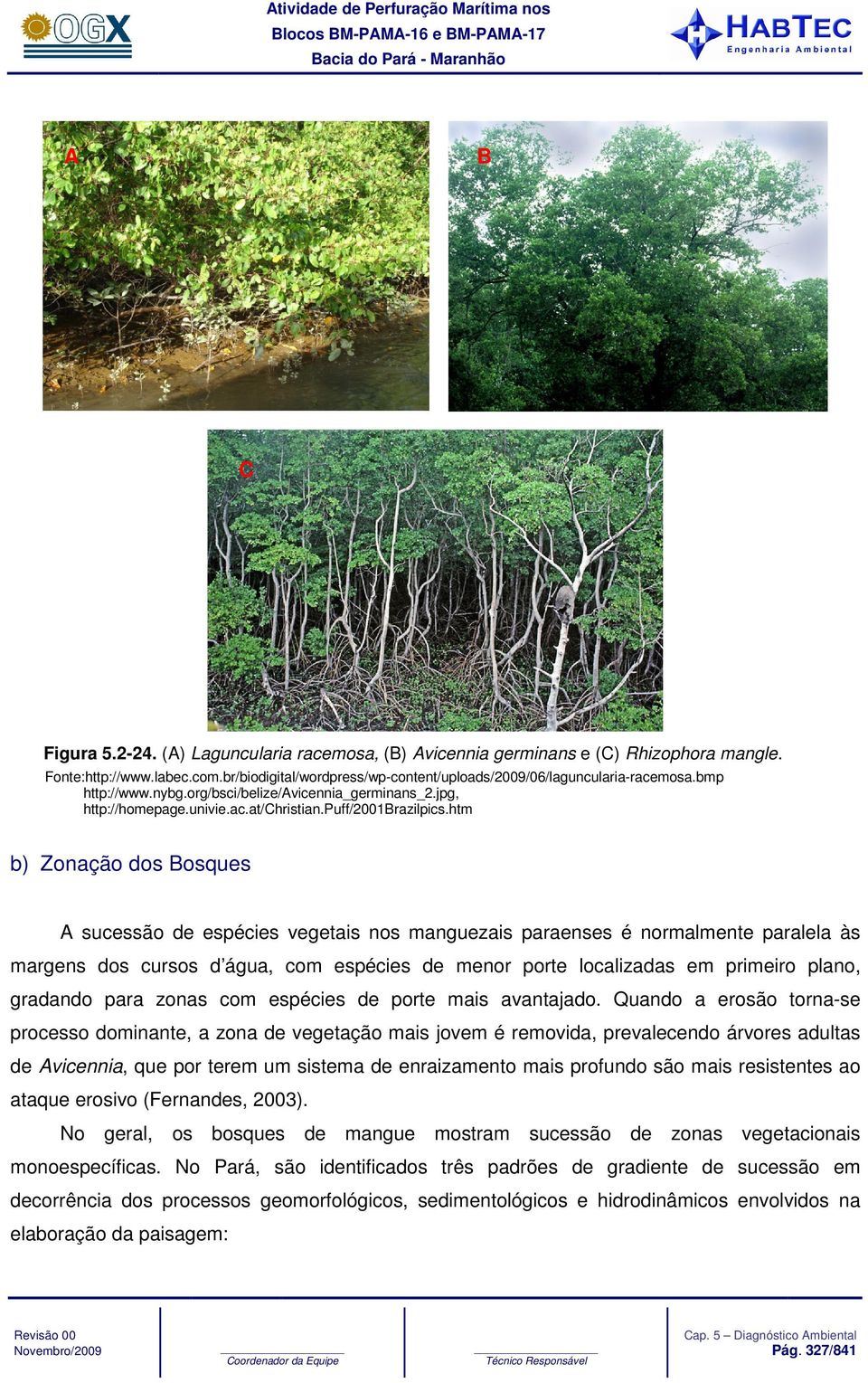 htm b) Zonação dos Bosques A sucessão de espécies vegetais nos manguezais paraenses é normalmente paralela às margens dos cursos d água, com espécies de menor porte localizadas em primeiro plano,
