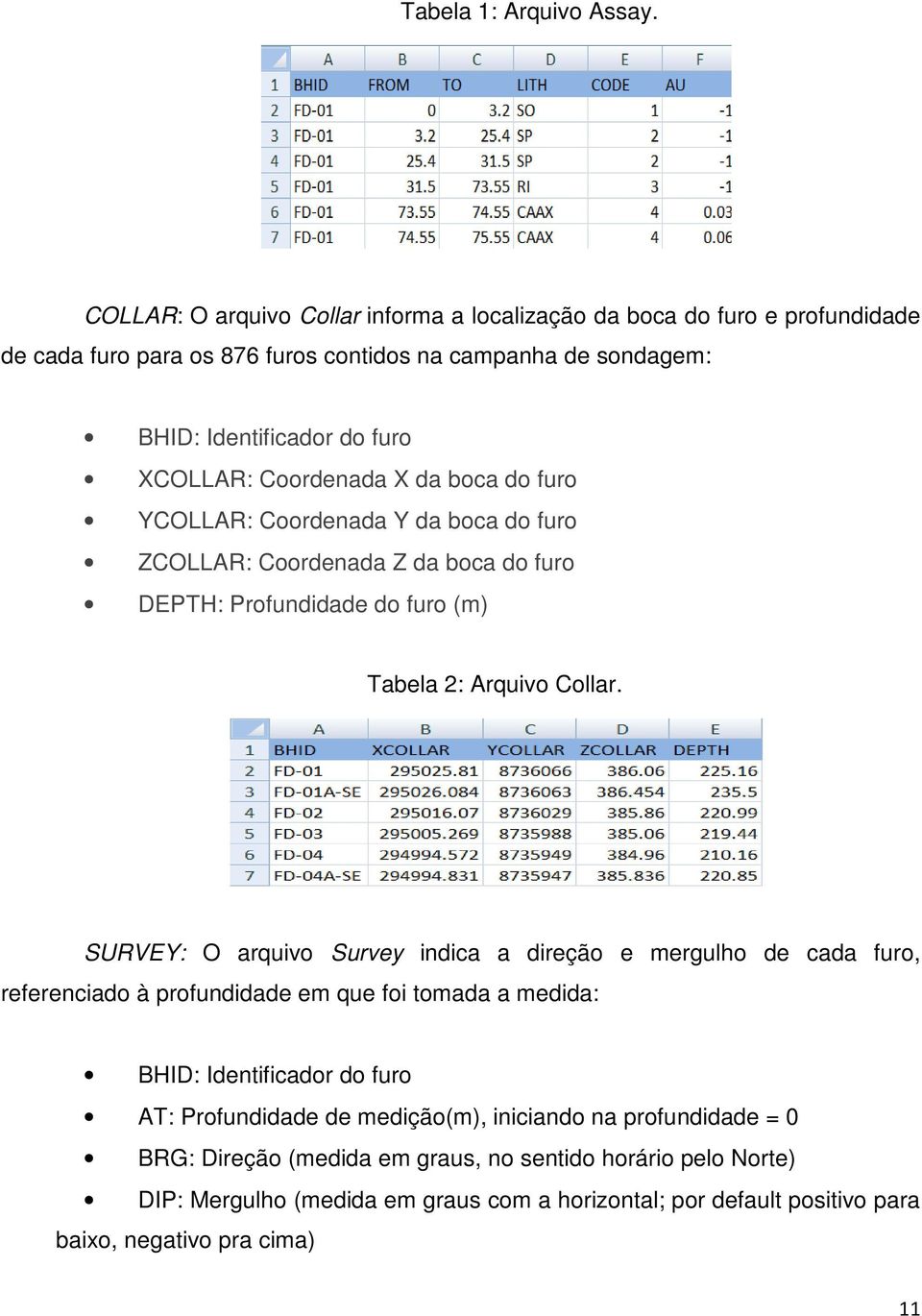 Coordenada X da boca do furo YCOLLAR: Coordenada Y da boca do furo ZCOLLAR: Coordenada Z da boca do furo DEPTH: Profundidade do furo (m) Tabela 2: Arquivo Collar.