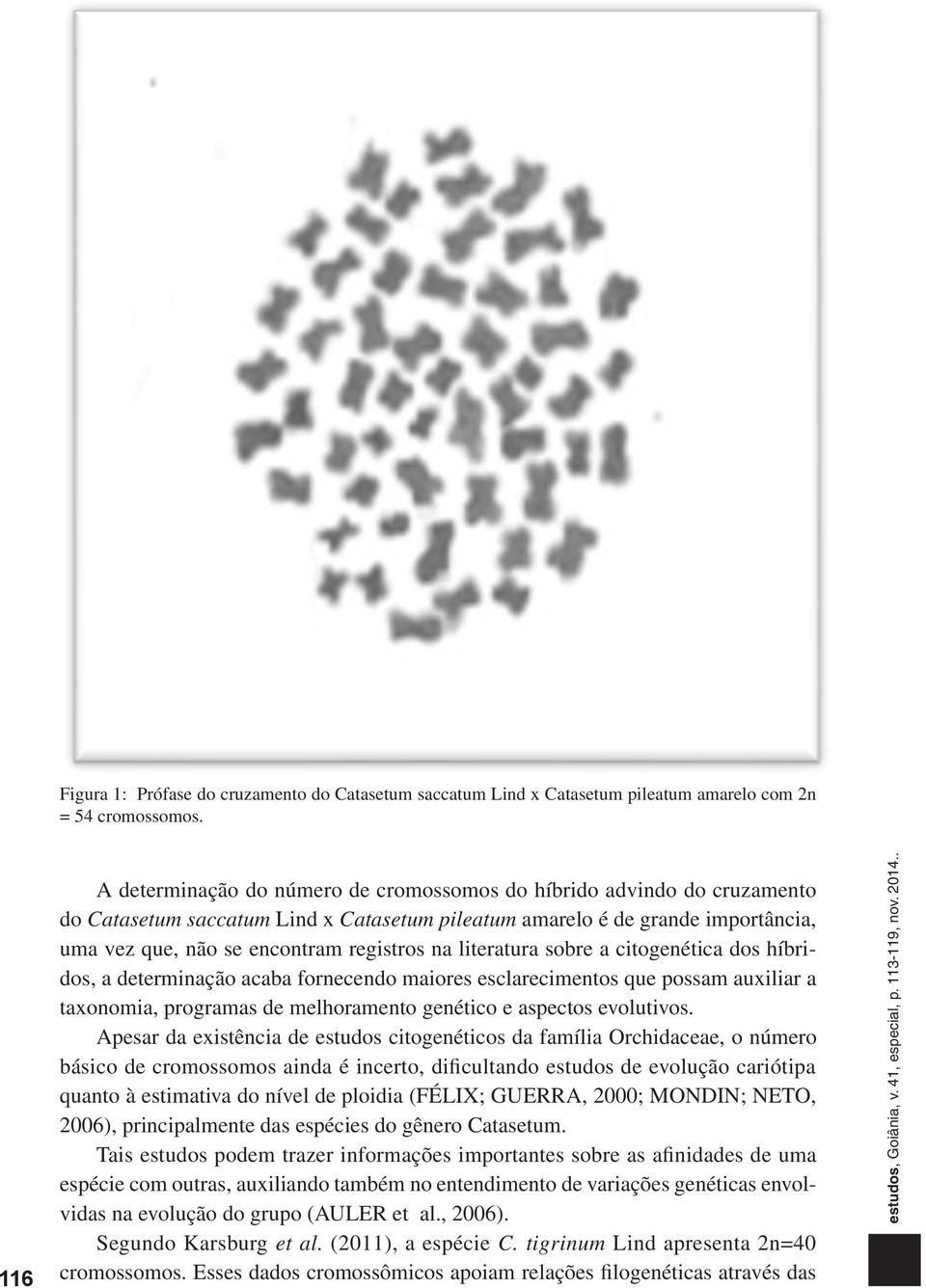 na literatura sobre a citogenética dos híbridos, a determinação acaba fornecendo maiores esclarecimentos que possam auxiliar a taxonomia, programas de melhoramento genético e aspectos evolutivos.