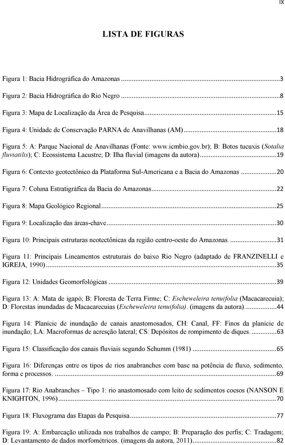 br); B: Botos tucuxis (Sotalia fluviatilis); C: Ecossistema Lacustre; D: Ilha fluvial (imagens da autora)...19 Figura 6: Contexto geotectônico da Plataforma Sul-Americana e a Bacia do Amazonas.