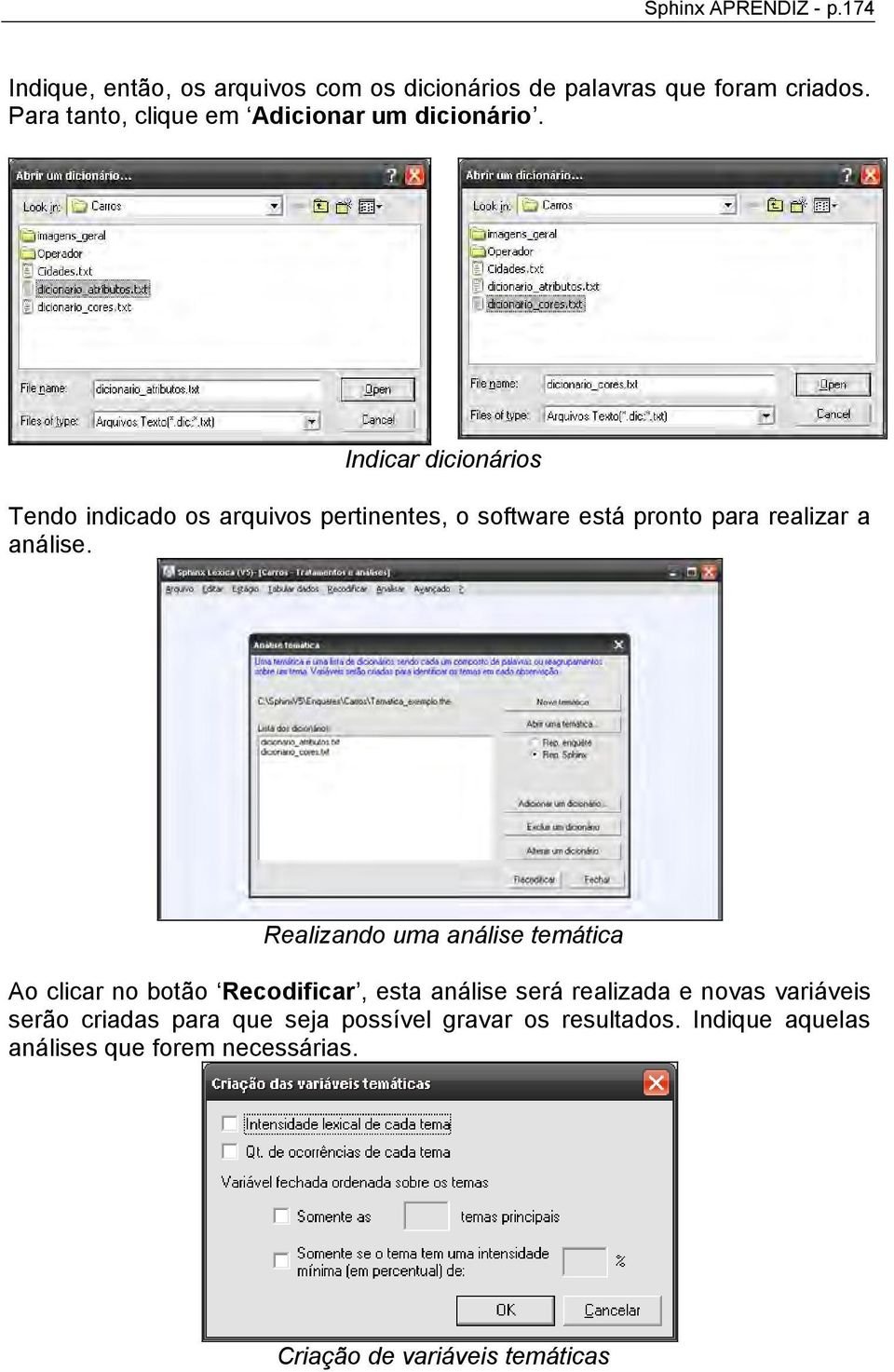 Indicar dicionários Tendo indicado os arquivos pertinentes, o software está pronto para realizar a análise.