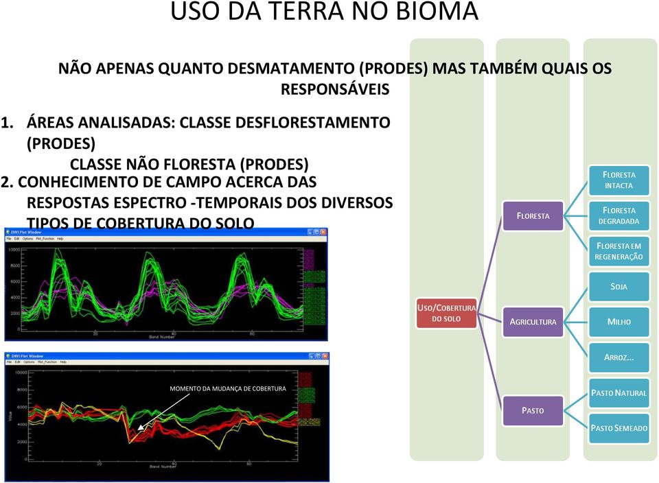 ÁREAS ANALISADAS: CLASSE DESFLORESTAMENTO (PRODES) CLASSE NÃO FLORESTA